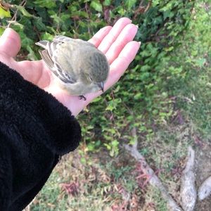 Meet your Posher, Rajvir